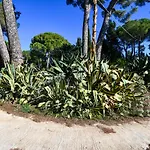 Dream House 度假居 皮亚扎-阿尔梅里纳