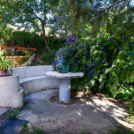 Dream House Tatil Evi