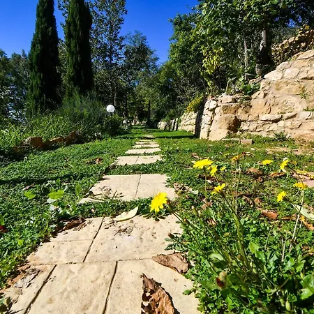 Tatil Evi Dream House