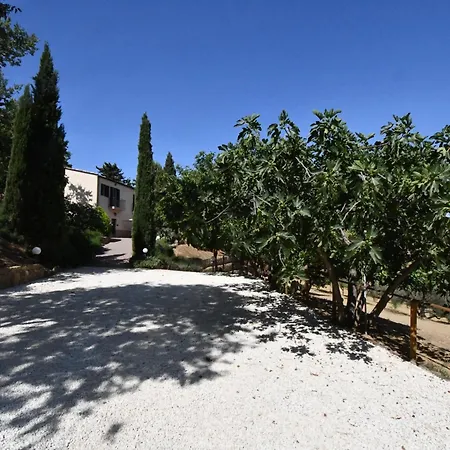 Dream House Tatil Evi *